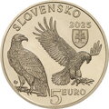 Fauna a flóra na Slovensku – orol kráľovský