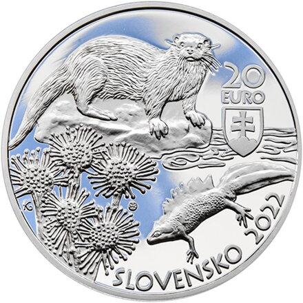 Chránená krajinná oblasť Kysuce
