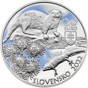 Chránená krajinná oblasť Kysuce