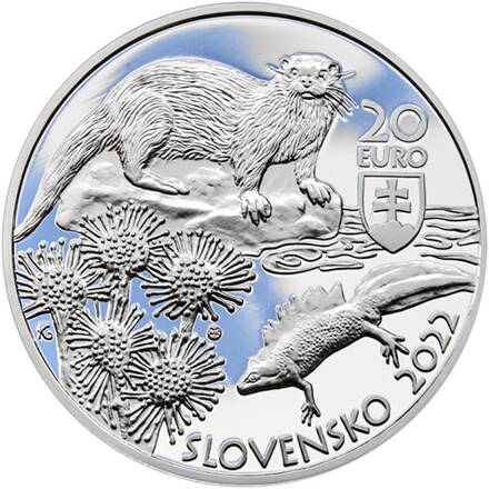 Chránená krajinná oblasť Kysuce